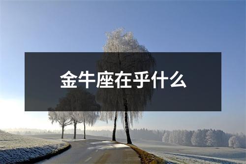 金牛座在乎什么